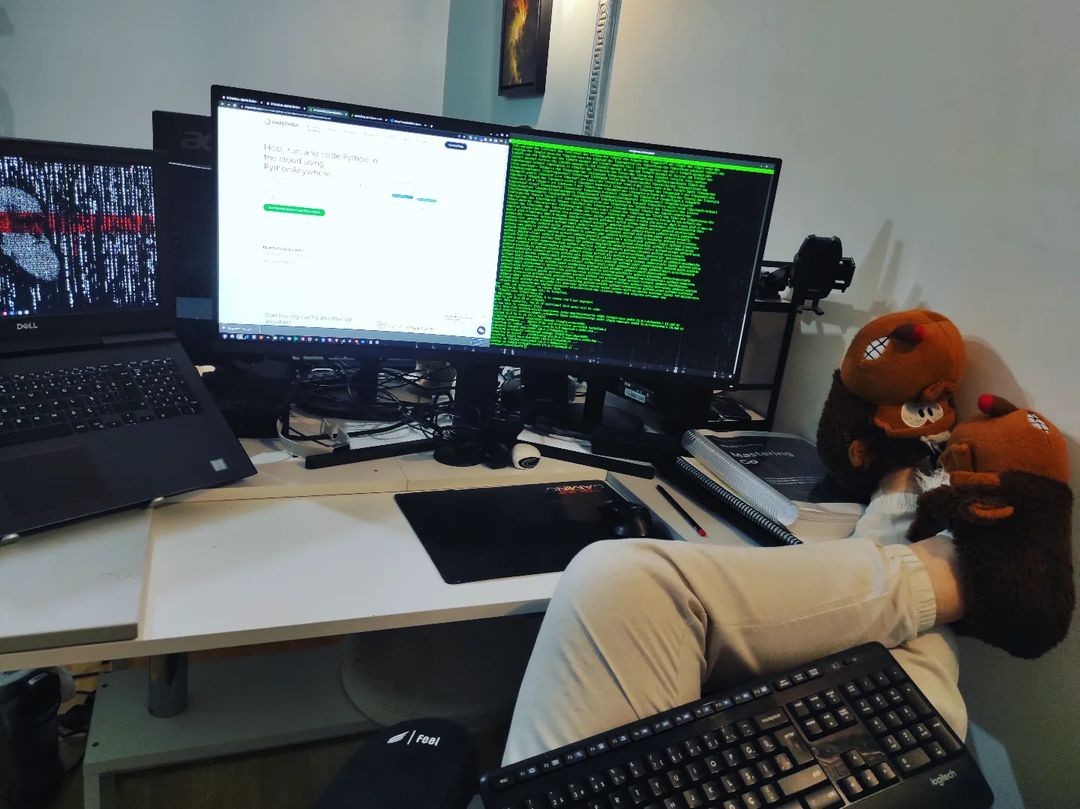 Software Engineering Insights